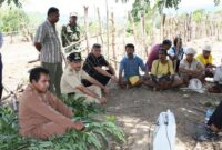 Raymundus Sau Fernandez ketika masih menjabat Wakil Bupati TTU. Tampak Ray duduk bersama masyarakat Petani di salah satu kebun  