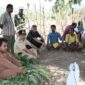 Raymundus Sau Fernandez ketika masih menjabat Wakil Bupati TTU. Tampak Ray duduk bersama masyarakat Petani di salah satu kebun  