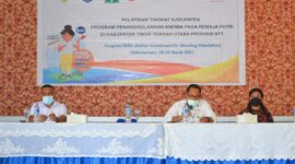 Nutrition International (NI) dan Save the Children menggelar pelatihan bagi petugas Puskesmas dan sekolah tentang penanggulangan anemia bagi remaja putri. pelatihan itu bekerja sama dengan bekerja sama dengan Yayasan Masyarakat Tangguh Sejahtera/Dok Anjar