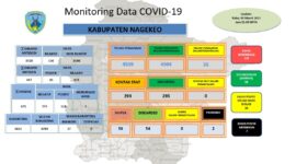 Data Monitor Covid-!9 Kabupaten Nagekeo
