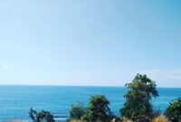 Pemandangan Alam Laut dari atas puncak Niranusa Ende (Foto: Chen Rasi/Savanaparadise.com)