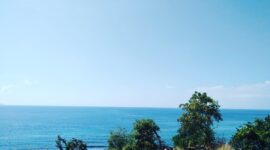 Pemandangan Alam Laut dari atas puncak Niranusa Ende (Foto: Chen Rasi/Savanaparadise.com)