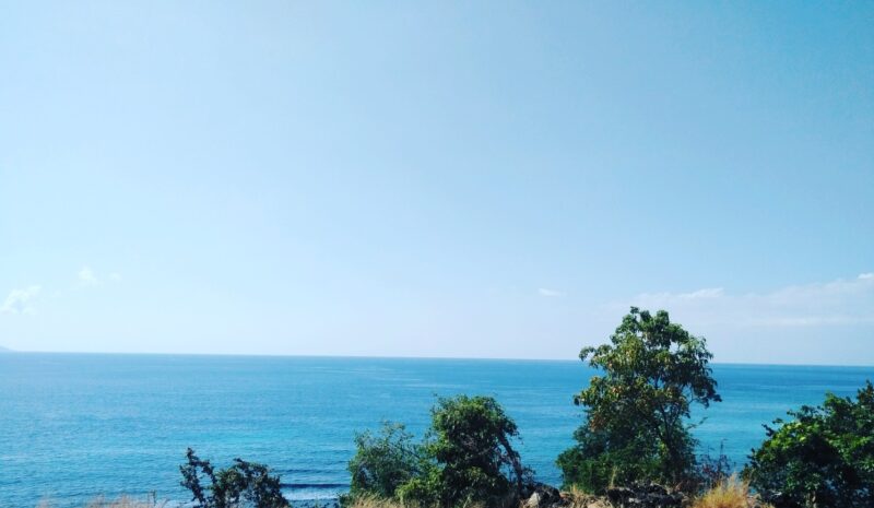 Pemandangan Alam Laut dari atas puncak Niranusa Ende (Foto: Chen Rasi/Savanaparadise.com)