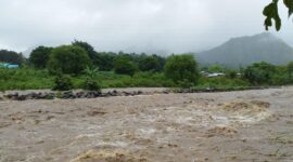 Banjir besar melanda kali Wolowona, Kabupaten Ende (Foto: Chen Rasi/Savanaparadise.com)