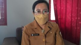 Kepala BPBD Kabupaten Ende, Maria Yasinta Sare (Foto: Chen Rasi/Savanaparadise.com)