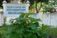 Kantor Camat Maukaro, Kabupaten Ende (Foto: Chen Rasi/Savanaparadise.com)