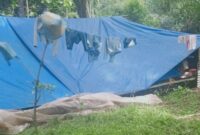 Tenda Pengungsi Korban Bencana Sosial di Desa Woloara, Kecamatan Kelimutu, Kabupaten Ende (Foto: Kepala Desa Woloara, Robertus Riwu)