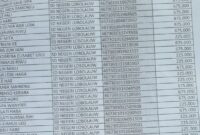 Daftar Siswa/Siswi Penerima dana PIP tahun SDN Lobolauw (Foto: Dule Dubu/Savanaparadise.com)