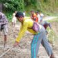 Warga Dusun Kabaro Gagaria sedang gotong royong membersihkan material longsor (Foto: Chen Rasi/Savanaparadise.com)