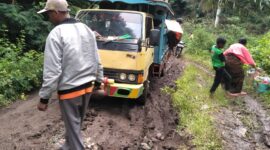 Para Penumpang dari Desa Kelikilu rela turun dari dump truck akibat jalan berlumpur sehingga mobil tertanam. (Foto: Chen Rasi/Savanaparadise.com)