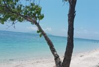 Pesona Pantai Enabara di Desa Aewora, Kecamatan Maurole, Kabupaten Ende (Foto: Chen Rasi/Savanaparadise.com)