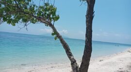 Pesona Pantai Enabara di Desa Aewora, Kecamatan Maurole, Kabupaten Ende (Foto: Chen Rasi/Savanaparadise.com)
