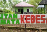 Kawasan hutan wisata Kebesani, di Kecamatan Detukeli, Kabupaten Ende (Foto: Chen Rasi/Savanaparadise.com)
