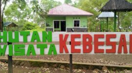 Kawasan hutan wisata Kebesani, di Kecamatan Detukeli, Kabupaten Ende (Foto: Chen Rasi/Savanaparadise.com)