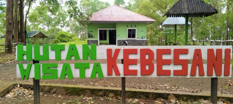 Kawasan hutan wisata Kebesani, di Kecamatan Detukeli, Kabupaten Ende (Foto: Chen Rasi/Savanaparadise.com)