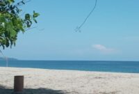 Pantai Magekusi di Desa Nuanaga, Kecamatan Kotabaru, Kabupaten Ende (Foto: Chen Rasi/Savanaparadise.com)
