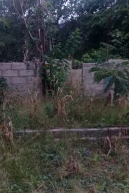 Dua Tahun Dikerjakan, Kondisi Rumah Bantuan di Desa Nainaban TTU Memprihatinkan. Ada Apa?