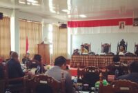 Andinda Maharani Alboneh, Sekretaris Fraksi Partai NasDem DPRD Sabu Raijua sedang membacakan pandangan umum fraksi (Foto: Dule Dubu/Savanaparadise.com)