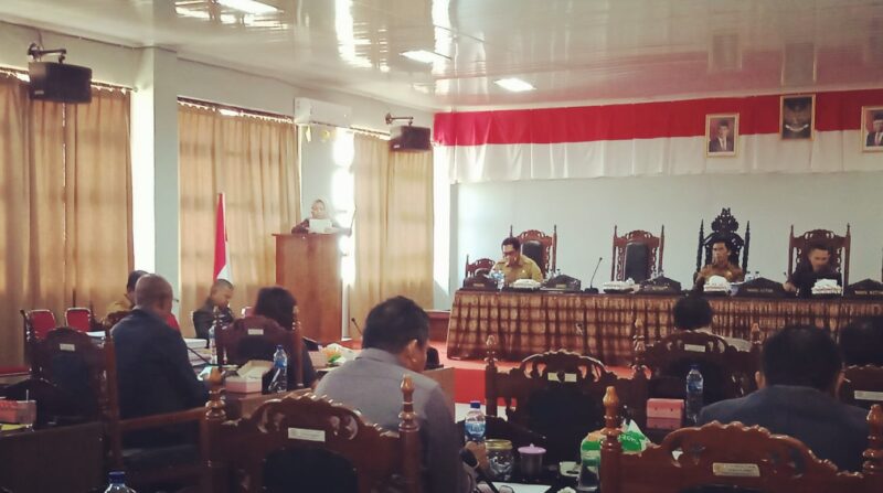 Andinda Maharani Alboneh, Sekretaris Fraksi Partai NasDem DPRD Sabu Raijua sedang membacakan pandangan umum fraksi (Foto: Dule Dubu/Savanaparadise.com)