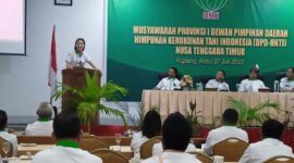 Ketua DPD HKTI NTT terpilih, Juliet Sutrisno Laiskodat saat pidato perdananya dalam kegiatan musyawara provinsi I (Foto: Dule Dubu/Savanaparadise.com)