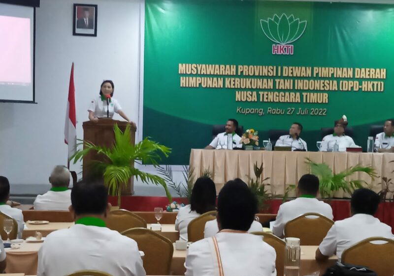 Ketua DPD HKTI NTT terpilih, Juliet Sutrisno Laiskodat saat pidato perdananya dalam kegiatan musyawara provinsi I (Foto: Dule Dubu/Savanaparadise.com)