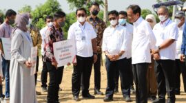 
*BNI Dukung Taxi Alsistan --* Presiden Joko Widodo (keempat kanan), Menteri Pertanian Syahrul Yasin Limpo (keenam kanan), Menteri PUPR Basuki Hadimuljono (paling kanan), Gubernur Jawa Timur Khofifah Indar Parawansa (ketiga kanan), Direktur Utama BNI Royke Tumilaar (kedua kanan), Direktur Hubungan Kelembagaan BNI Sis Apik Wijayanto (tengah), Direktur Jenderal Perkebunan Andi Nur Alam Syah (kelima kanan), dan Direktur Utama PT Corin Mulia Gemilang Jemmy Eka Putra (ketujuh kanan) dalam acara  Peluncuran Program Taksi Alsintan oleh BNI dan Kementerian Pertanian di Gresik, Jawa Timur, Senin (22/8/2022).

BNI sebagai agen pembangunan berkomitmen untuk mendukung ketahanan sekaligus penguatan sektor agrikultur pangan nasional khususnya dengan model pengelolaan tata kelola usaha jasa alsintan dengan sistem sewa atau kepemilikan melalui skim kredit perbankan. Foto Dok BNI 