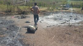 Tampak abu dan puing-puing bekas kebakaran dua pondok sawah(Foto: Chen Rasi/Savanaparadise.com)