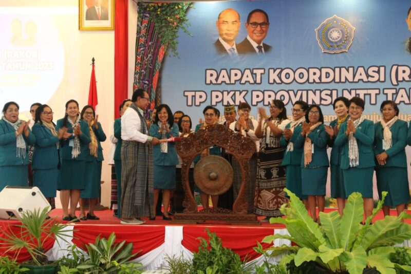 Wakil Gubernur NTT, Dr. Drs. Josef A. Nae Soi, MM sedang memukul gong tanda dimulainya kegiatan Rakor (Foto: Istimewa)