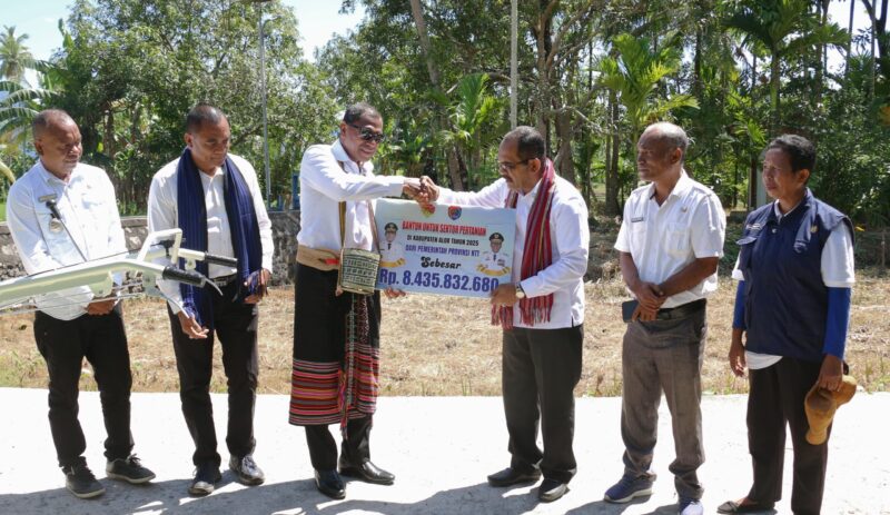 Wakil Gubernur NTT, Johanis Asadoma menyerahkan bantuan dana untuk sektor pertanian ke Pemkab Alor yang diterima langsung oleh Bupati Alor, Iskandar Lakamau (Foto: NH)