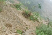 Material Longsor Tutup Badan Jalan Menuju Kampung Detupau, Desa Likanaka, Kecamatan Wolowaru, Kabupaten Ende (Foto: Warga Desa Likanaka)