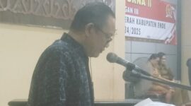 Sekretaris Fraksi PDI Perjuangan DPRD Ende saat membacakan pandangan Fraksi soal Ranperda Tentang Pertanggungjawaban Pelaksanaan APBD Tahun Anggaran 2024 dalam Rapat Paripurna (Foto: Chen Rasi/Savanaparadise.com)