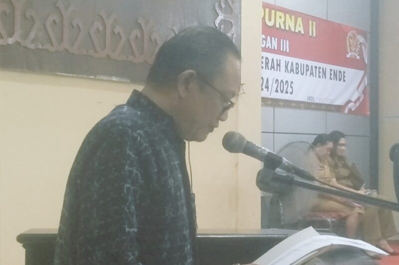 Sekretaris Fraksi PDI Perjuangan DPRD Ende saat membacakan pandangan Fraksi soal Ranperda Tentang Pertanggungjawaban Pelaksanaan APBD Tahun Anggaran 2024 dalam Rapat Paripurna (Foto: Chen Rasi/Savanaparadise.com)