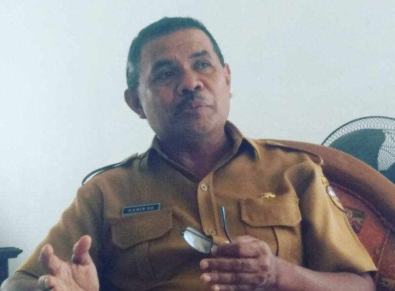 Kepala Dinas Lingkungan Hidup Kabupaten Ende, Kanisius Se (Foto: Mateus Bheri/CR)