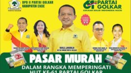 DPD II Partai Golkar Ende Gelar Pasar Murah (Foto:Istimewa)