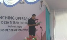 223 Kopdeskel di Ende Belum Terbit NIB, Punya NPWP Ada 202