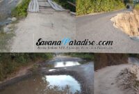 Kondisi badan jalan dari Wewaria dan Maurole, rusak parah (Foto: Mateus Bheri/SP)