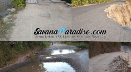 Kondisi badan jalan dari Wewaria dan Maurole, rusak parah (Foto: Mateus Bheri/SP)