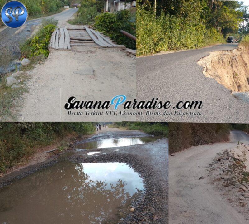 Kondisi badan jalan dari Wewaria dan Maurole, rusak parah (Foto: Mateus Bheri/SP)