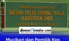 Mucikari dan Pemilik Kos Dapat Komisi Dari Praktek Prostitusi Online di Ende