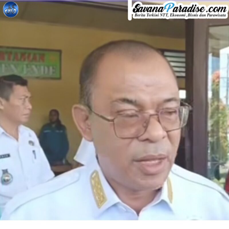 Bupati Ende, Yosef Benediktus Badeoda memberikan keterang pers usai kegiatan penyerahan secara simbolis bibit Kelapa Genjah Entok (Foto: Mateus Bheri/SP)