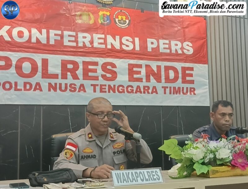Wakapolres Ende, Ahmad, S.H yang didampingi Kasat Narkoba, AKP Valerianus Vrade Pale saat memberikan keterangan pers dugaan tindak pidana Narkotika (Foto: Mateus Bheri/SP)