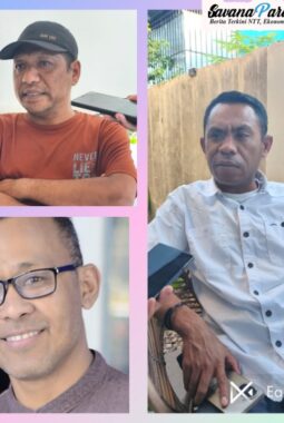 Safari Politik Jokowi ke NTT Dikritik Akademisi: Rakyat Butuh Solusi, Bukan Manuver Politik