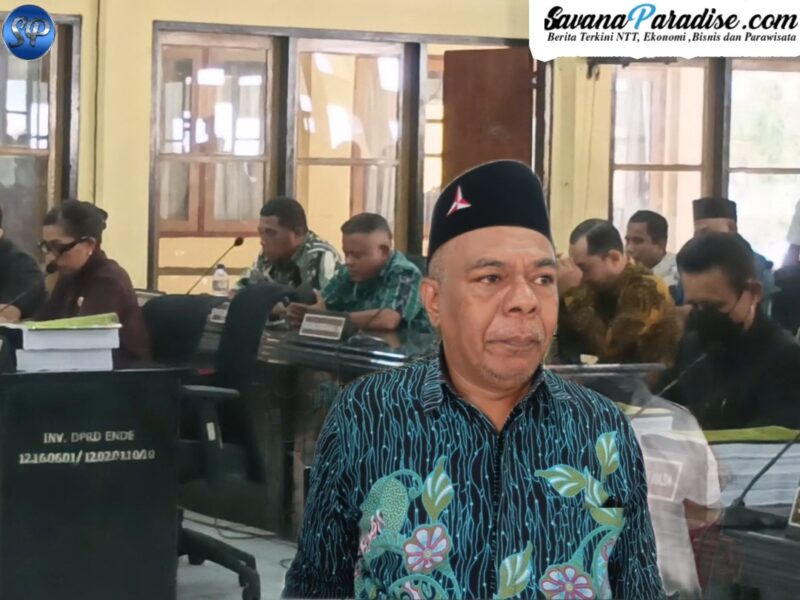 Rapat Paripurna DPRD Ende, Rabu, 12 Agustus 2025 (Foto: Mateus Bheri/SP)