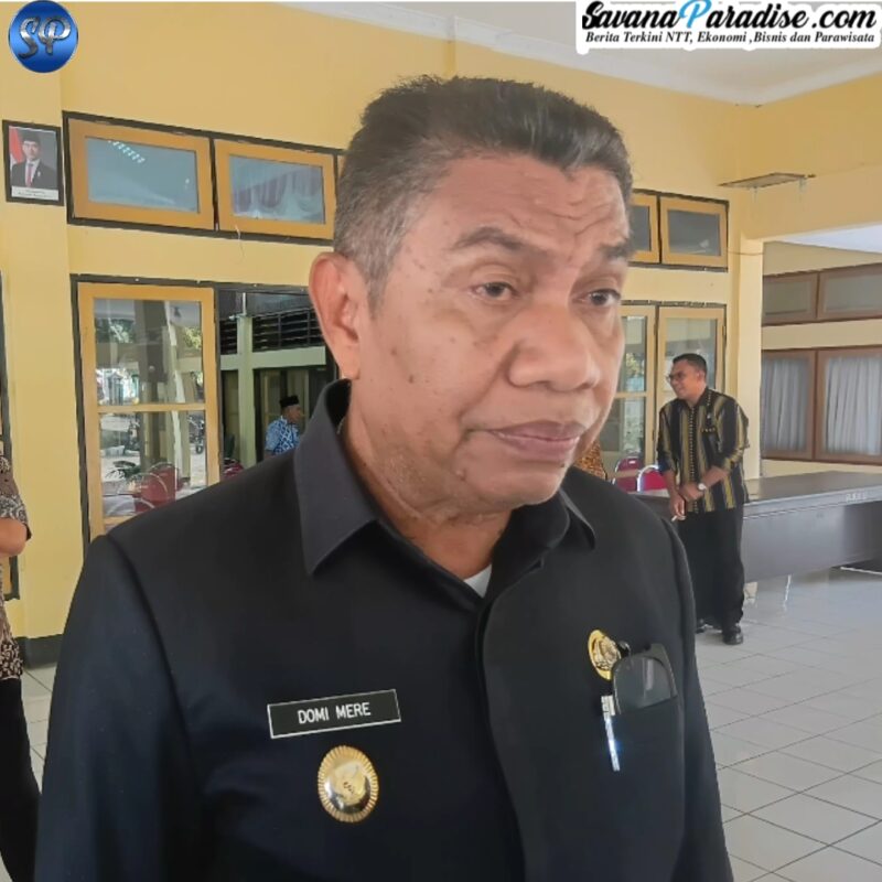 Wakil Bupati Ende, Dominikus Minggu Mere (Foto: Mateus Bheri/SP)