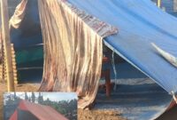 Kondisi tenda darurat mandiri yang didirikan warga (Foto: Mateus Bheri/SP)
