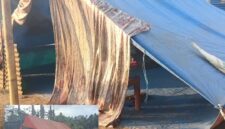 Kondisi tenda darurat mandiri yang didirikan warga (Foto: Mateus Bheri/SP)