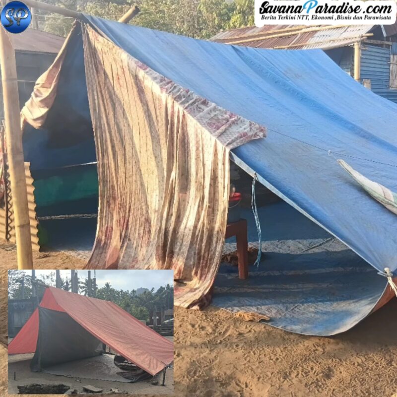 Kondisi tenda darurat mandiri yang didirikan warga (Foto: Mateus Bheri/SP)