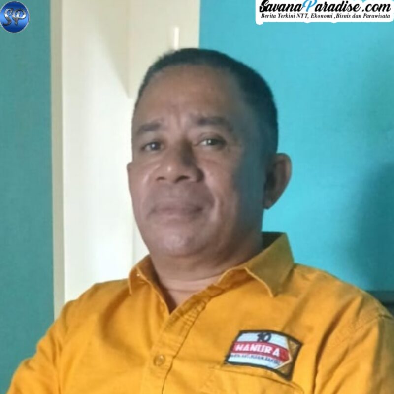 Ketua DPC Partai Hanura Kabupaten Ende, Didimus Toki (Foto: Istimewa)