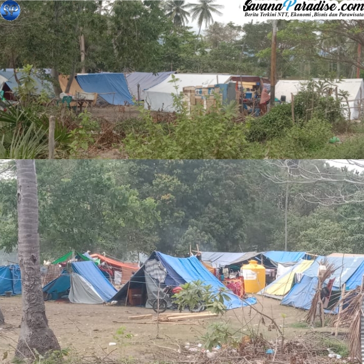Posko Pengungsian Terpusat di Dusun Nioniba, Desa Kebirangga, Kecamatan Maukaro, Kabupaten Ende masih di tempati warga (Foto: Mateus Bheri/SP)