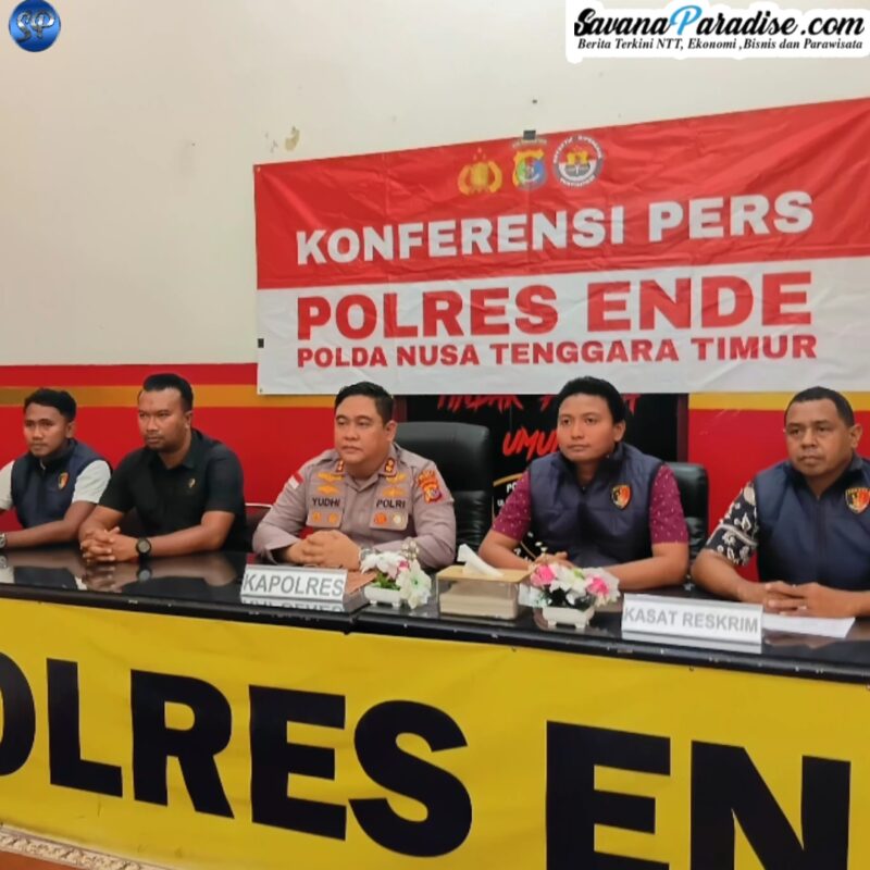 Konferensi Pers yang di Gelar Polres Ende (Foto: Mateus Bheri/SP)